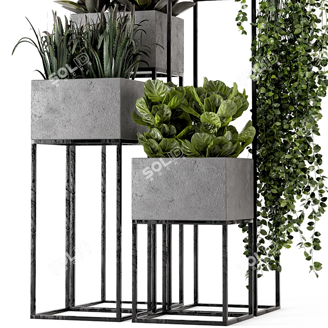 Rusty Concrete Pot Indoor Plants - Set 221 3D model image 3
