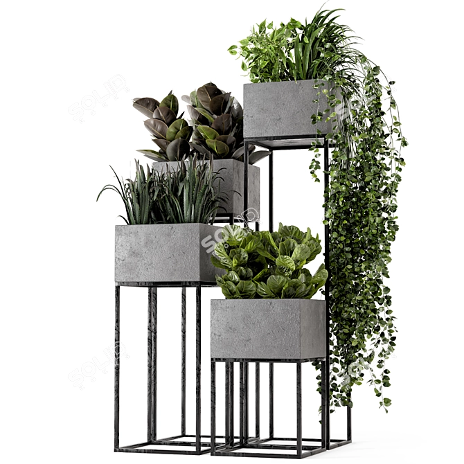 Rusty Concrete Pot Indoor Plants - Set 221 3D model image 5
