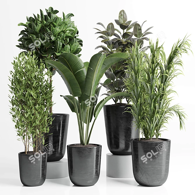 Concrete Palm Collection: Indoor/Outdoor Plant Pot 3D model image 1