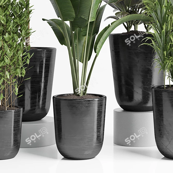 Concrete Palm Collection: Indoor/Outdoor Plant Pot 3D model image 2