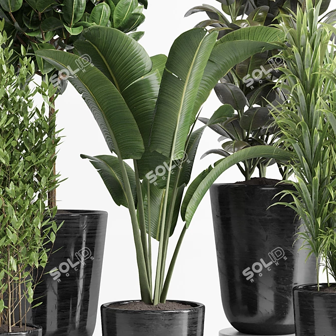 Concrete Palm Collection: Indoor/Outdoor Plant Pot 3D model image 4