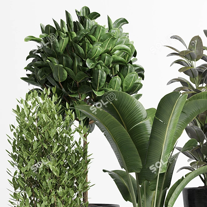 Concrete Palm Collection: Indoor/Outdoor Plant Pot 3D model image 5