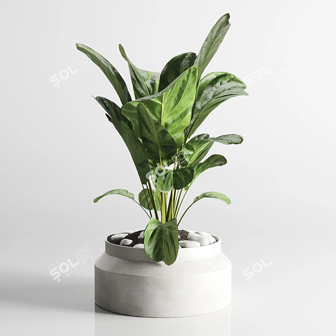 Indoor Plant Collection: 96 Pot Palm Fern Cactus 3D model image 4