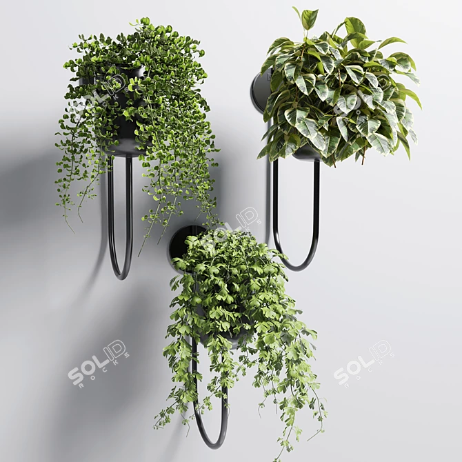 Metal Stand Wall Vase - Indoor Plant 101 3D model image 1