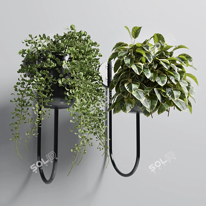 Metal Stand Wall Vase - Indoor Plant 101 3D model image 2