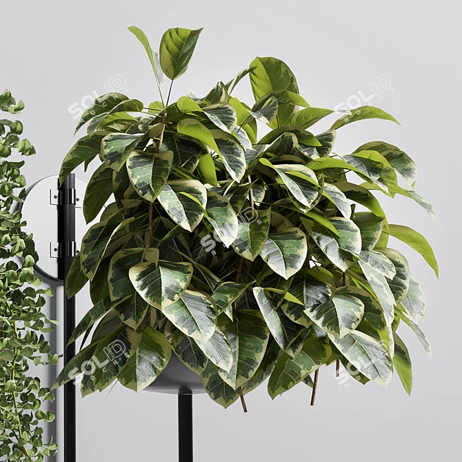 Metal Stand Wall Vase - Indoor Plant 101 3D model image 3