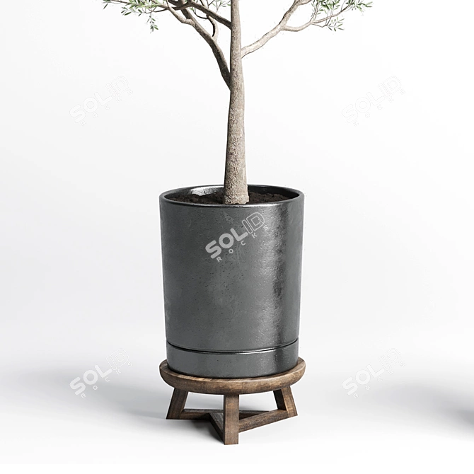 Concrete Vase Pot Tree Olive: Indoor Plant Collection 3D model image 6