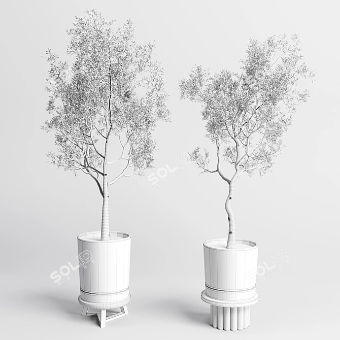 Concrete Vase Pot Tree Olive: Indoor Plant Collection 3D model image 7