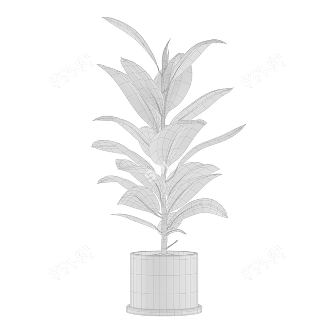 Exotic Indoor Plants Collection 3D model image 1