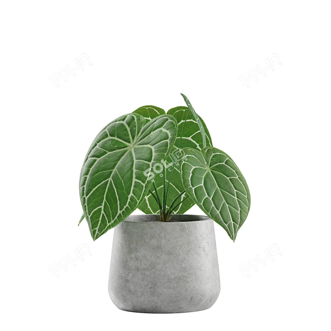 Exotic Indoor Plants Collection 3D model image 5