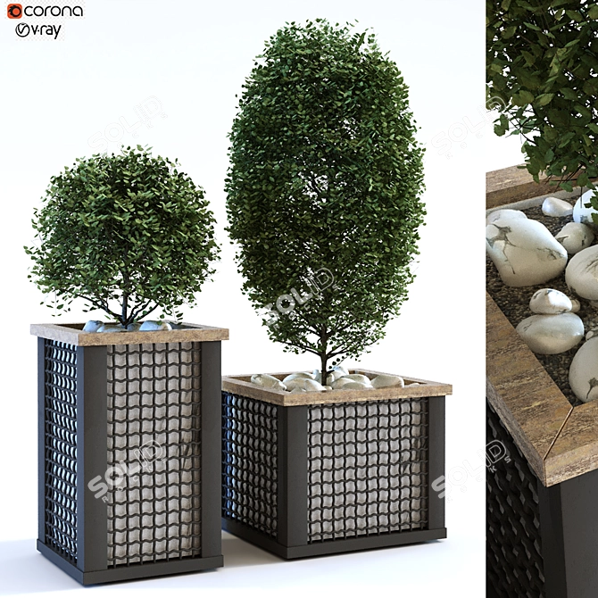 Greenery Oasis Box Set 113 3D model image 1