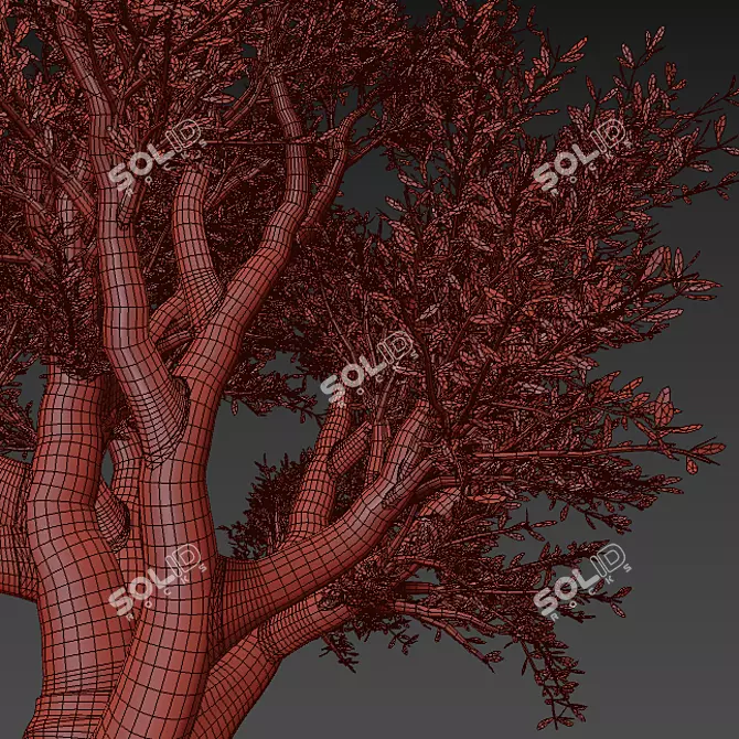 Artsy Olive Tree 3D Model 3D model image 4