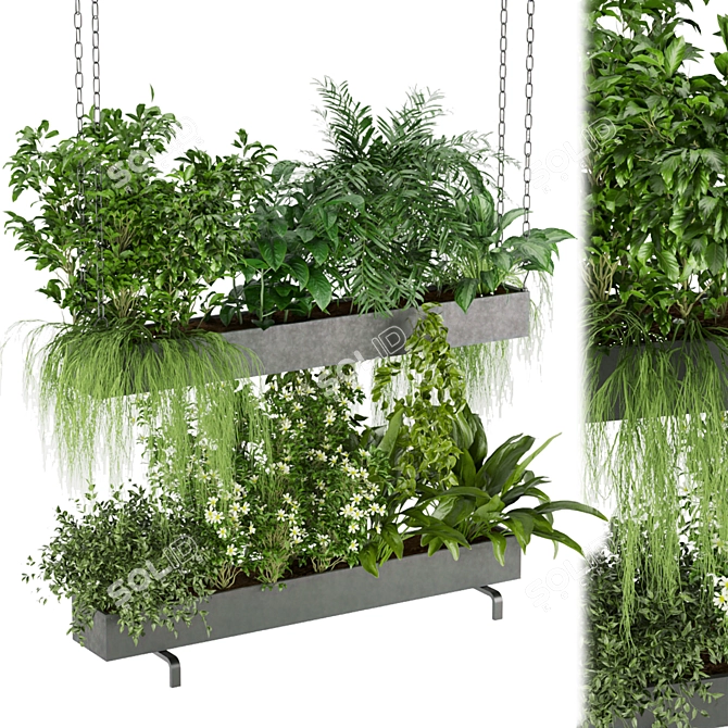 Premium Plant Collection Vol. 234 3D model image 1
