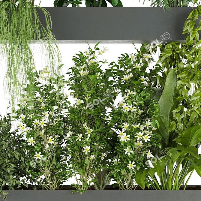  Premium Plant Collection Vol. 234 3D model image 3