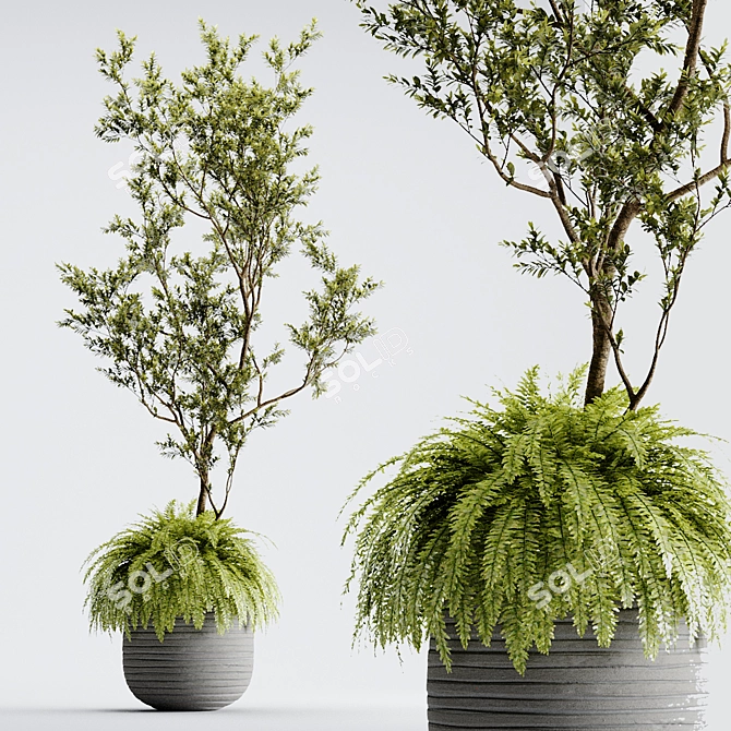 Organika Plant Pack: Myrciaria & Nephrolepis 3D model image 1