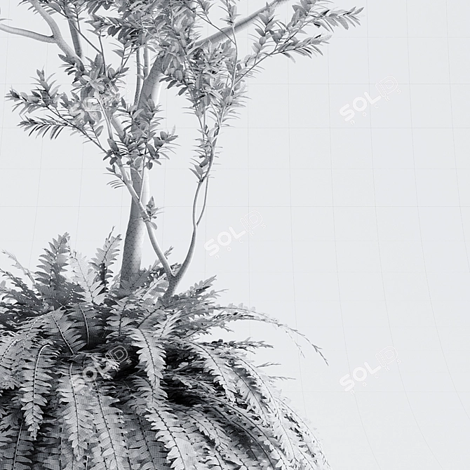 Organika Plant Pack: Myrciaria & Nephrolepis 3D model image 4