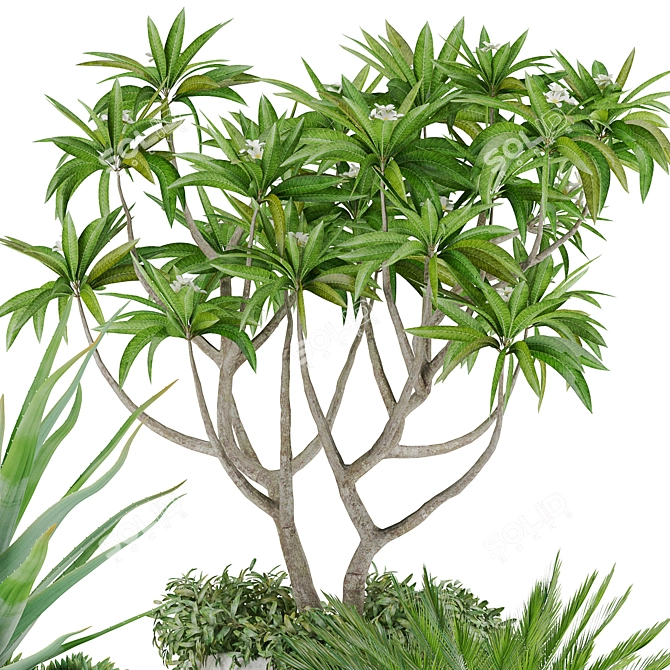 Tropical Oasis: High-quality Plants 3D model image 4