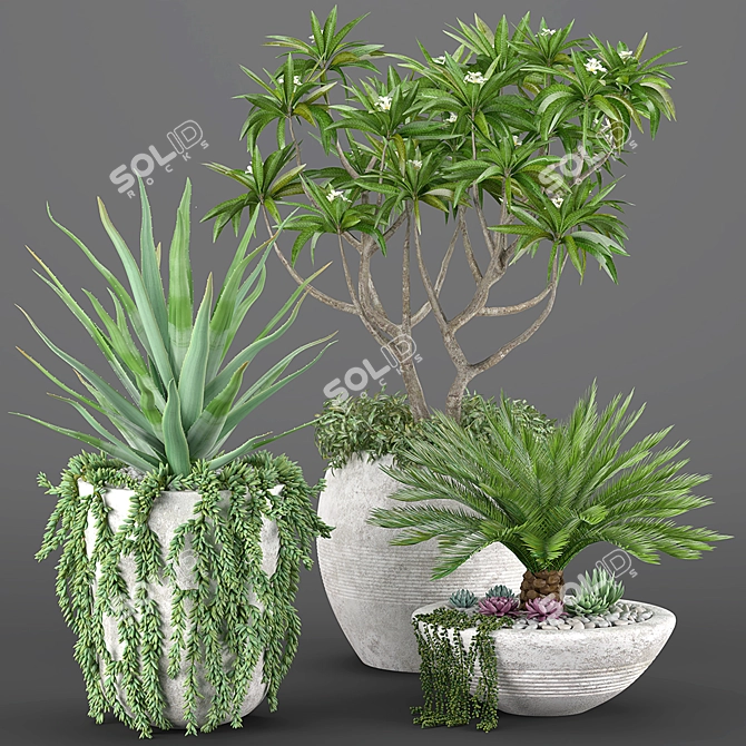 Tropical Oasis: High-quality Plants 3D model image 7