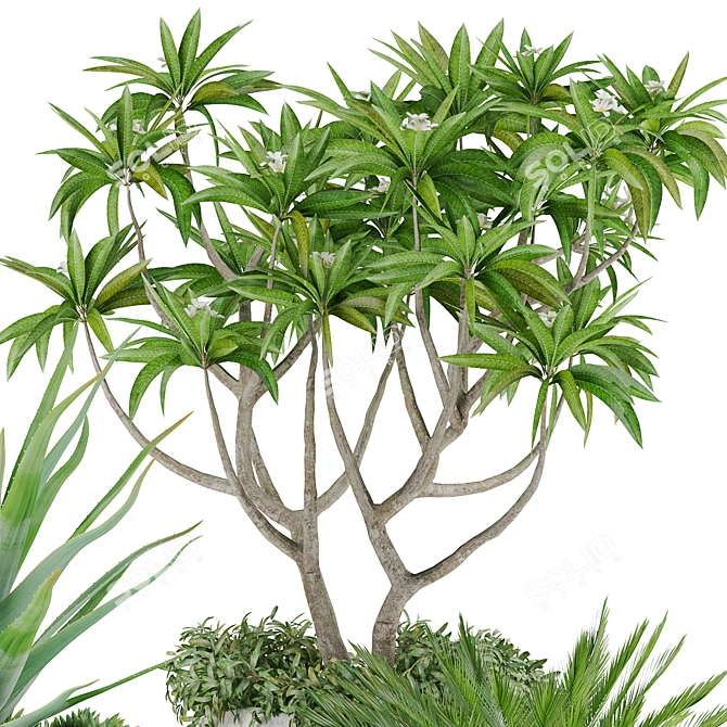 Tropical Oasis: High-quality Plants 3D model image 9
