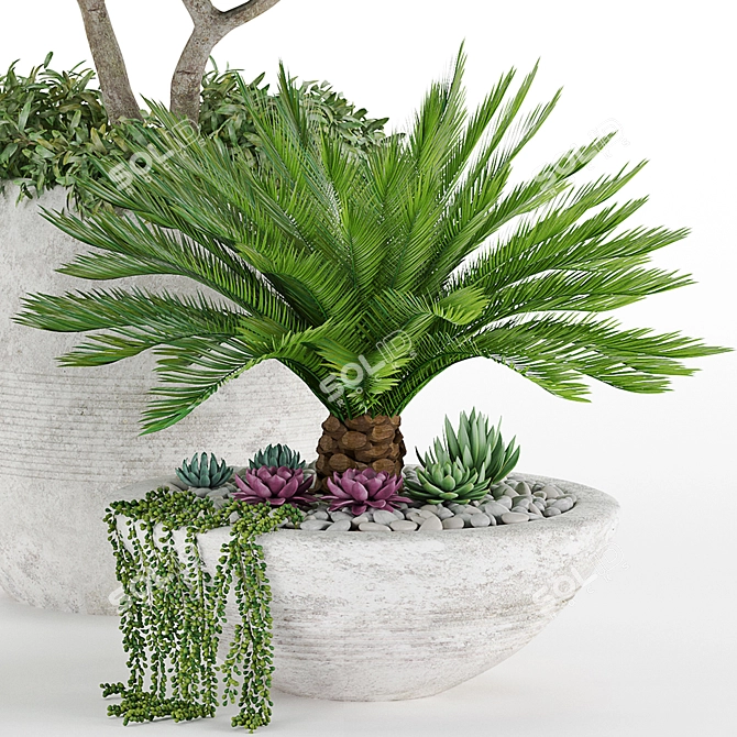 Tropical Oasis: High-quality Plants 3D model image 10