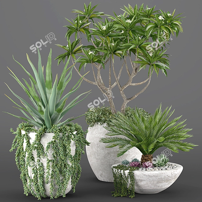 Tropical Oasis: High-quality Plants 3D model image 14