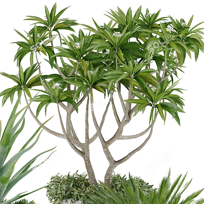 Tropical Oasis: High-quality Plants 3D model image 16