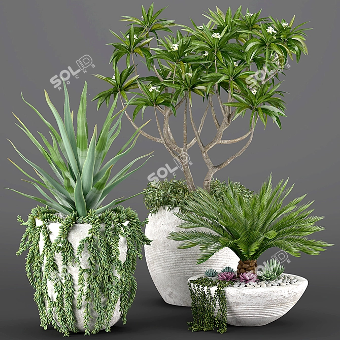 Tropical Oasis: High-quality Plants 3D model image 19