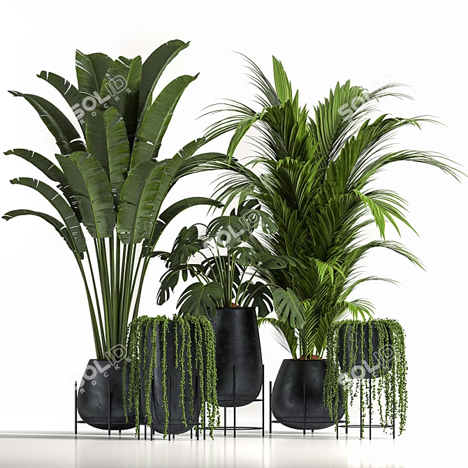 Stylish Indoor Plant Set06 3D model image 1