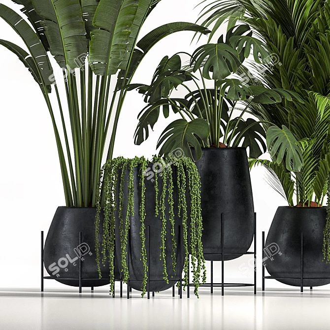 Stylish Indoor Plant Set06 3D model image 2