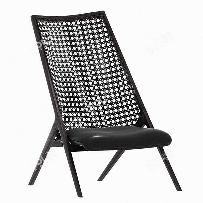 Tara Rattan Lounge Chair 3D model image 2