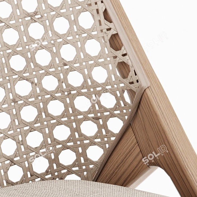 Tara Rattan Lounge Chair 3D model image 3