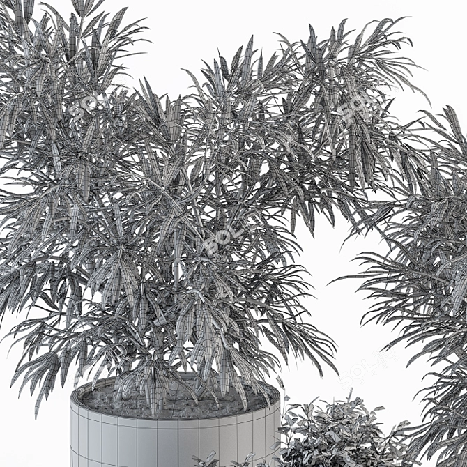 Green Oasis: Indoor Plant Set 3D model image 6