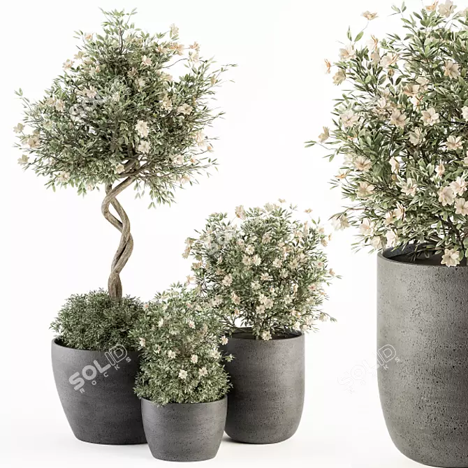 Flower Tree Pot - Outdoor Plant Set 3D model image 1