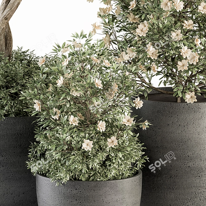 Flower Tree Pot - Outdoor Plant Set 3D model image 2