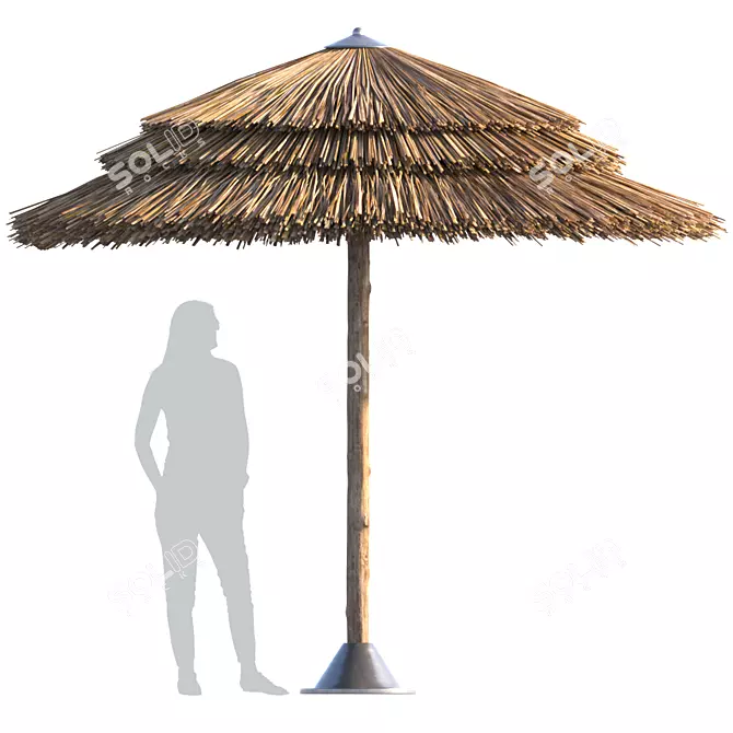 Tropical Style Beach Umbrella 3D model image 1
