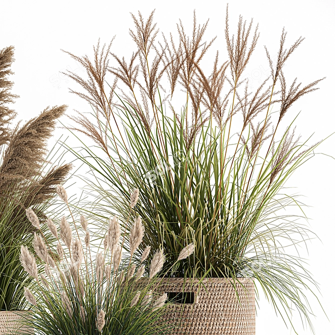 Exotic Plant Collection: Indoor & Outdoor Decor 3D model image 4