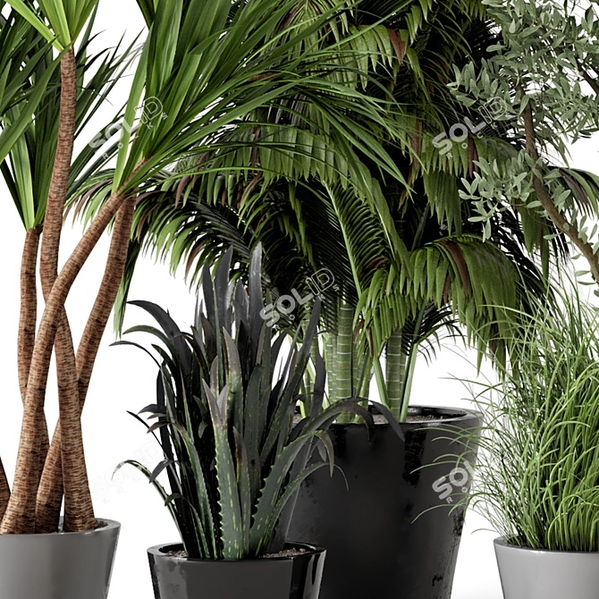 Rusty Concrete Pot Indoor Plants 3D model image 2