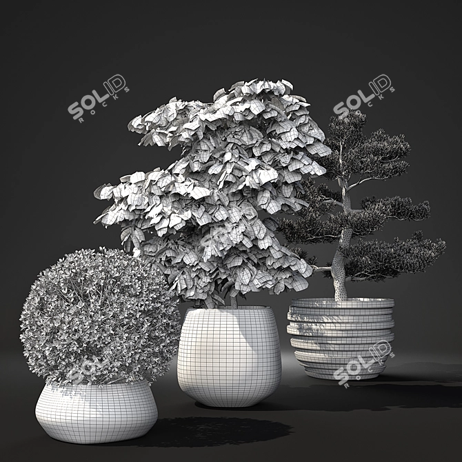 Outdoor Plant Pot Set: Red Dragon Maple, Forsythia & Pine Topiaries 3D model image 4