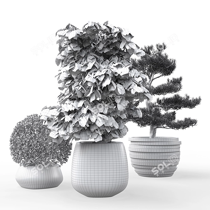 Outdoor Plant Pot Set: Red Dragon Maple, Forsythia & Pine Topiaries 3D model image 9