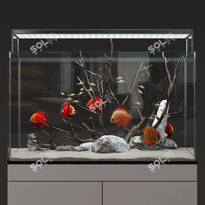 Natural Biotope Aquarium with Discus Fish 3D model image 4