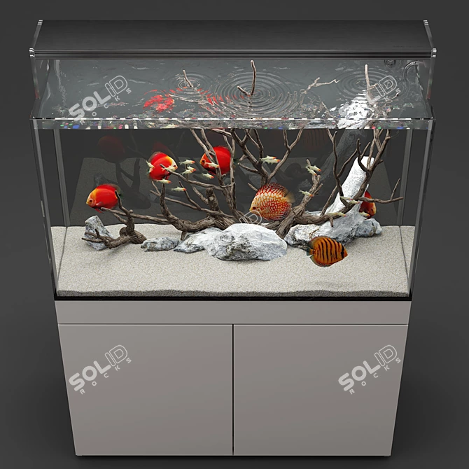 Natural Biotope Aquarium with Discus Fish 3D model image 5