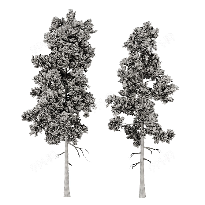 Premium Pine Trees for Gardens 3D model image 4
