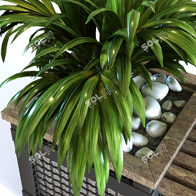 Elegant Greenery Box Set 3D model image 5