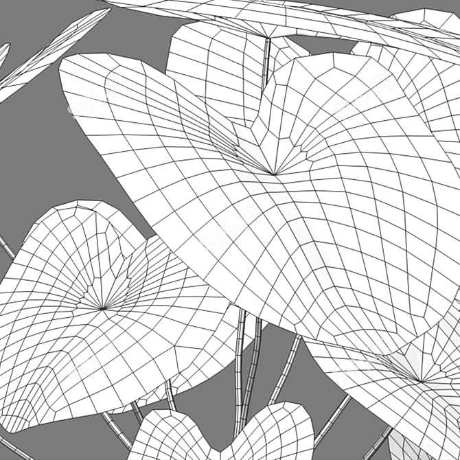 Caladium White Christmas - 3D Model 3D model image 3