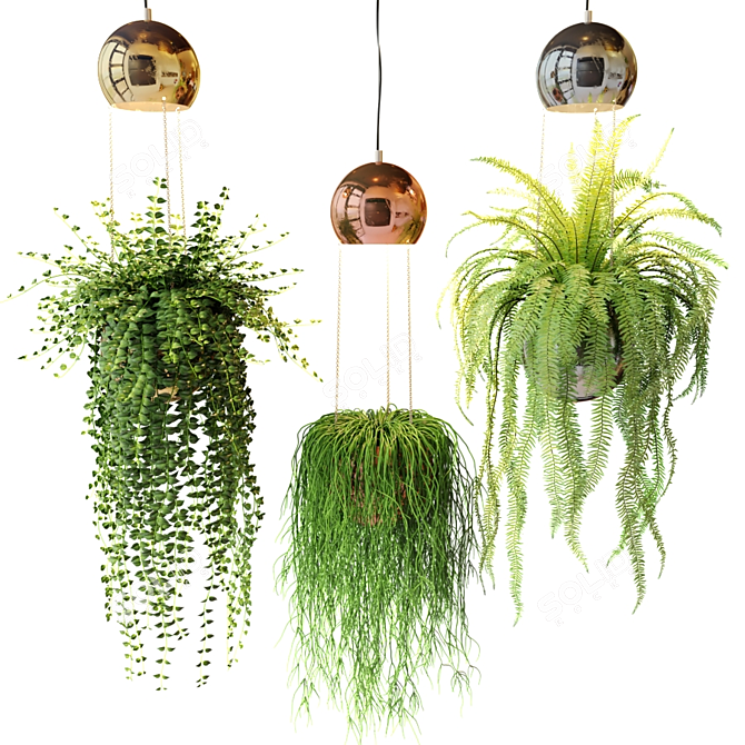 Metal Botanical Ball Lamps 3D model image 1