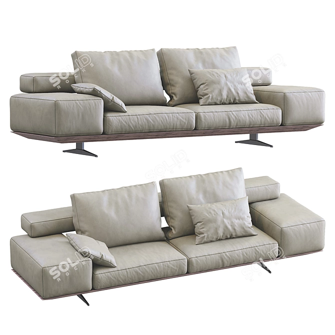 Flexform Leather Wing Sofa 3D model image 2