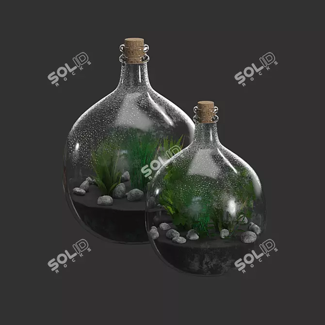 Glass Terrarium Bottle: Living Art in a Jar 3D model image 1