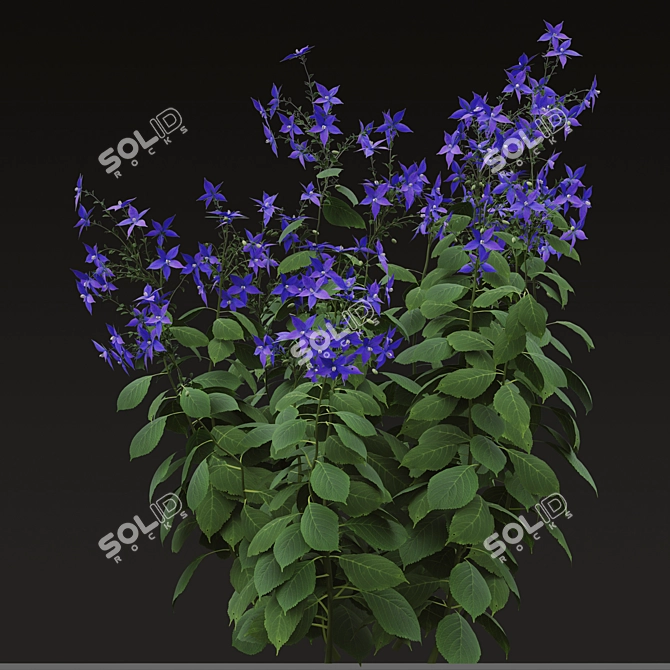 Title: Borago officinalis Starflower Trio 3D model image 2