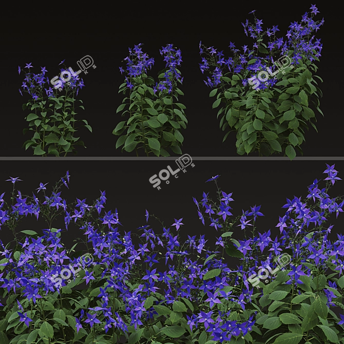 Title: Borago officinalis Starflower Trio 3D model image 5