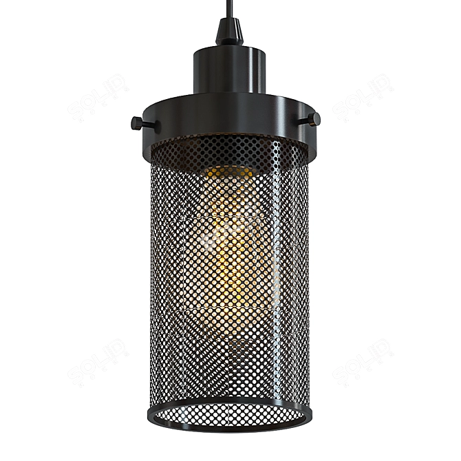 Industrial Mesh Pendant Light 3D model image 1